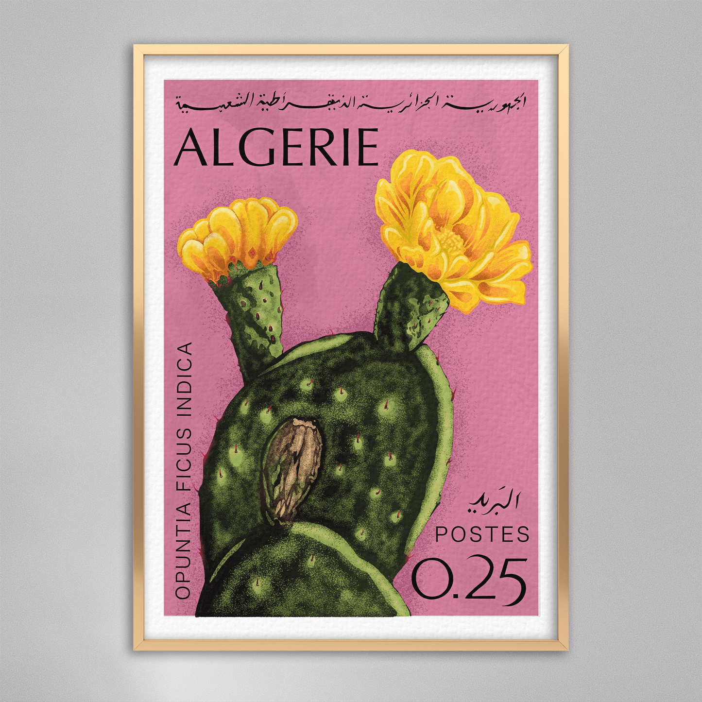 Figuier de Barbarie et son fruit d'Algérie.