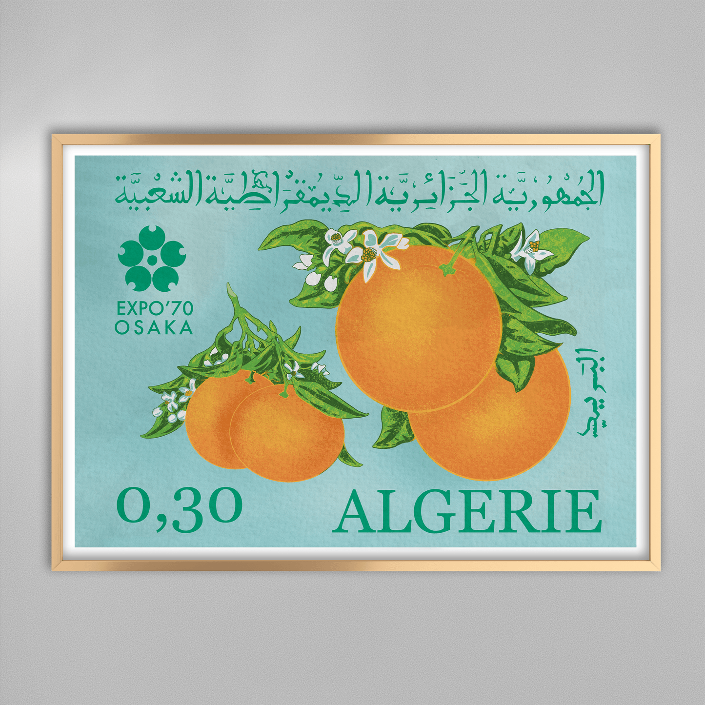 Fleurs d'Oranger et Oranges d'Algérie.